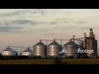 Grain Silos in Eureka early Evening, Illinois 2547